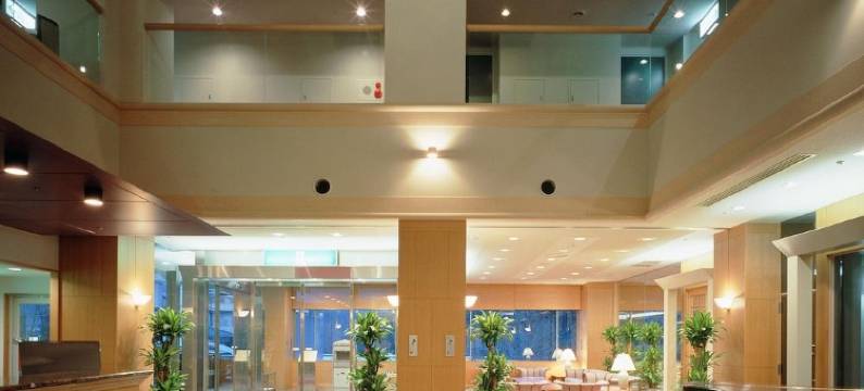 斋藤酒店(Saito Hotel)图片