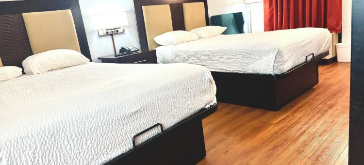 Baymont by Wyndham Metter(Baymont by Wyndham Metter)图片