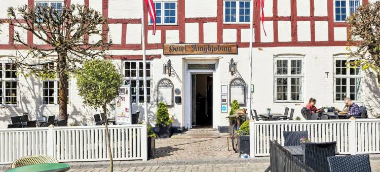 灵克宾酒店(Hotel Ringkøbing)图片