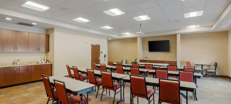 舒适套房酒店-拉弗兰(Comfort Suites Loveland)图片