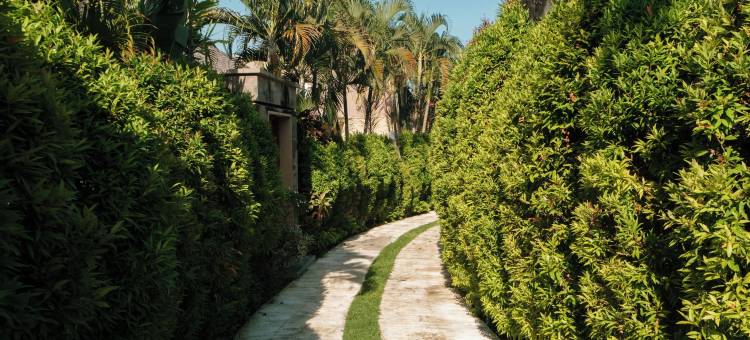 比达达丽别墅及水疗中心(The Bidadari Villas and Spa)图片