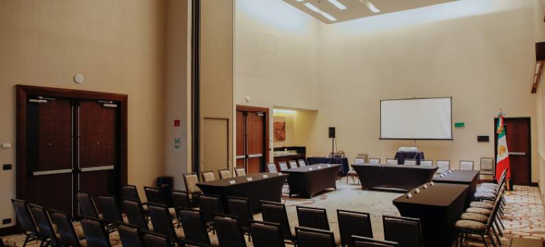 塞拉亚希尔顿逸林酒店(DoubleTree by Hilton Celaya)图片