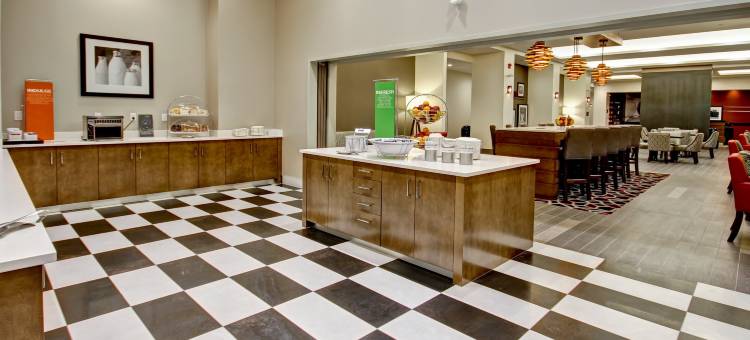 梅迪辛哈特欢朋套房酒店(Hampton Inn & Suites by Hilton Medicine Hat)图片