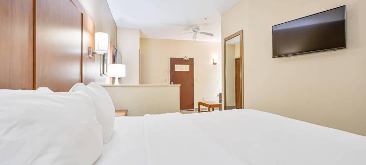 蒙哥马利东卡迈克尔路舒适套房酒店(Comfort Inn & Suites Montgomery East Carmichael Rd)图片