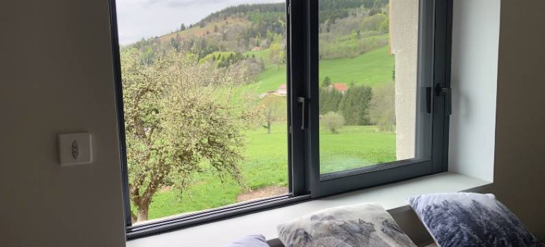 让的农场(La Ferme de Jean Entre Lacs et Montagnes)图片