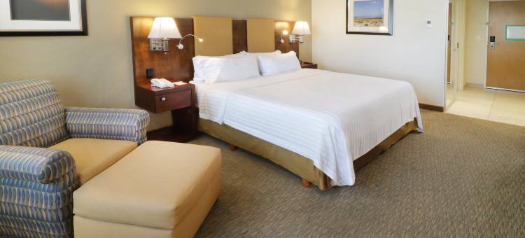 埃莫西约阿罗普假日套房酒店(Holiday Inn & Suites Hermosillo Aeropuerto)图片