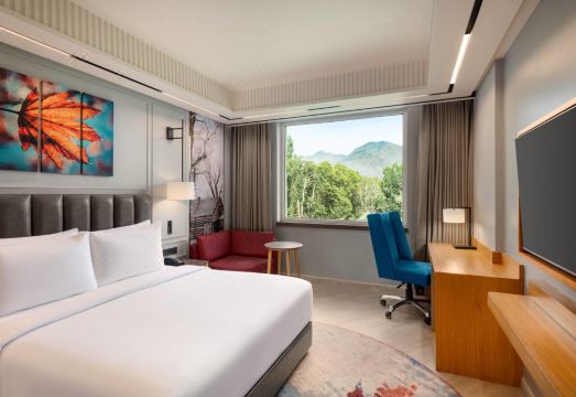 Ramada Encore by Wyndham Rajbagh Srinagar Hotel Overview