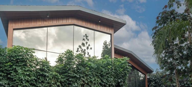 福雷斯特(Forrest)图片