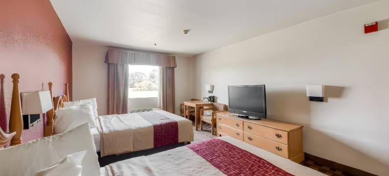 路易斯安那唐纳森维尔温德姆呗盟酒店(Baymont by Wyndham Donaldsonville LA)图片