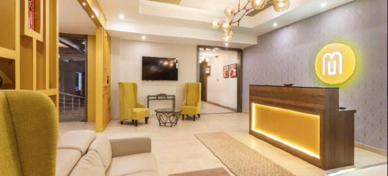 纳文芒果酒店(Mango Hotels Naveen)图片