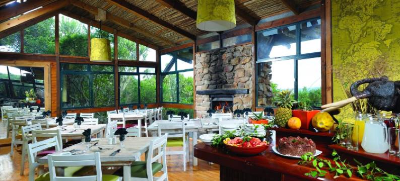 卡里埃加野生动物保护区旅馆 - 主馆(Kariega Game Reserve Main Lodge)图片