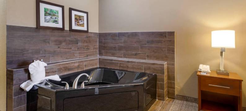 桃树角落舒适套房酒店(Comfort Inn & Suites Peachtree Corners)图片