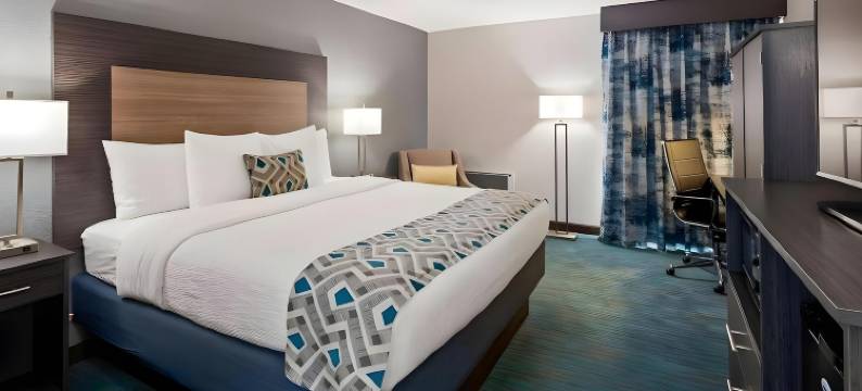 舒适酒店达拉斯北爱情机场(Comfort Inn Dallas North Love Field Airport)图片