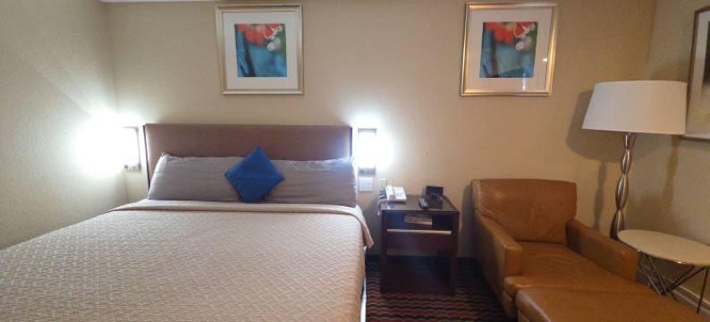 切萨宁套房酒店(Chesaning INN & Suites)图片