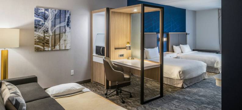 坎菲尔德春季山丘套房酒店(SpringHill Suites Canfield)图片