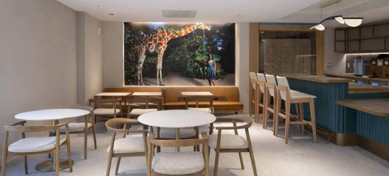 温德姆旗下的Dolce迈阿密海滩(Dolce by Wyndham Miami Beach)图片