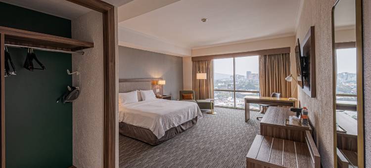 Holiday Inn 瓜达拉哈拉(Holiday Inn GUADALAJARA SELECT by IHG)图片