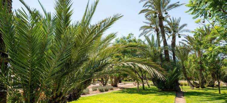棕榈林绿洲巴塞罗度假村(Barceló Palmeraie Oasis Resort)图片