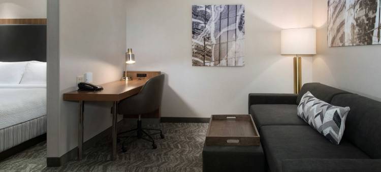 锡拉丘兹卡里尔环岛万豪SpringHill酒店(SpringHill Suites Syracuse Carrier Circle)图片