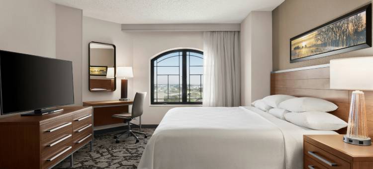 国际机场DFW北外界希尔顿安泊酒店(Embassy Suites by Hilton Grapevine DFW Airport North)图片