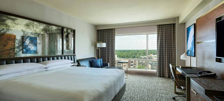 伍德兰斯航道万豪酒店及会议中心(The Woodlands Waterway Marriott Hotel & Convention Center)图片