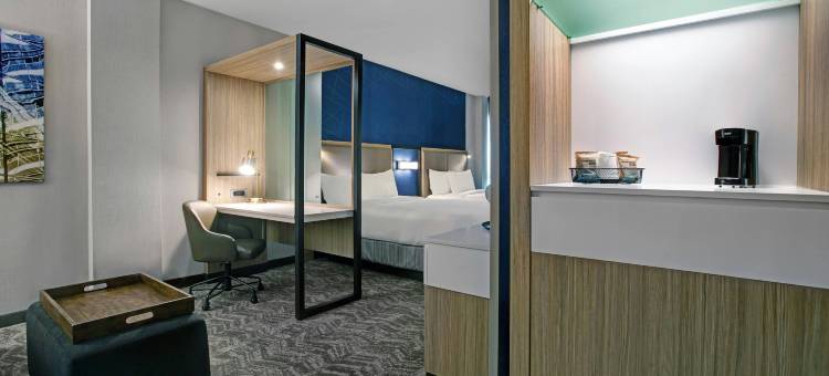 Marriott Franklin Cool Springs的SpringHill套房(SpringHill Suites Franklin Cool Springs)图片