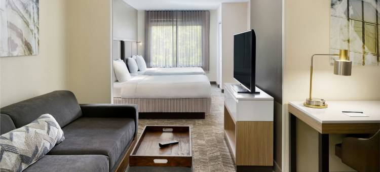 罗利-达拉姆机场/研究三角园区SpringHill Suites酒店(SpringHill Suites Raleigh-Durham Airport/Research Triangle Park)图片