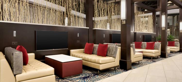 希尔顿亚特兰大东北-格温内特糖山大使套房酒店(Embassy Suites by Hilton Atlanta NE - Gwinnett Sugarloaf)图片