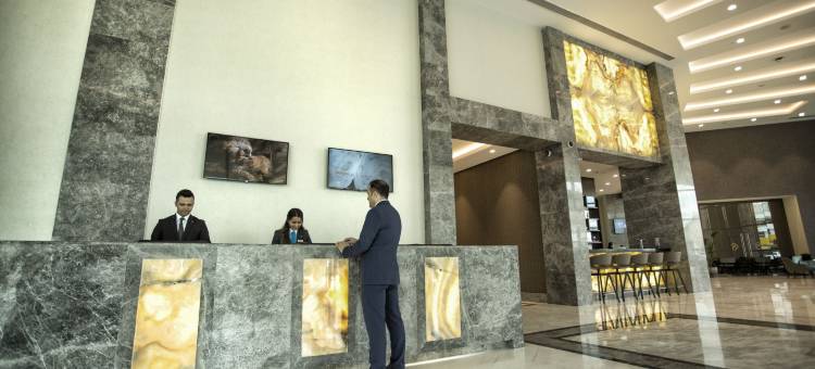 德狄曼托卡酒店(Dedeman Tokat)图片