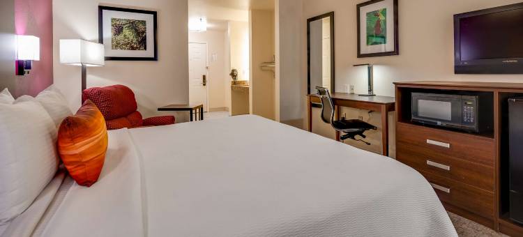 皮尼伍兹贝斯特韦斯特酒店(Best Western Pineywoods Inn)图片
