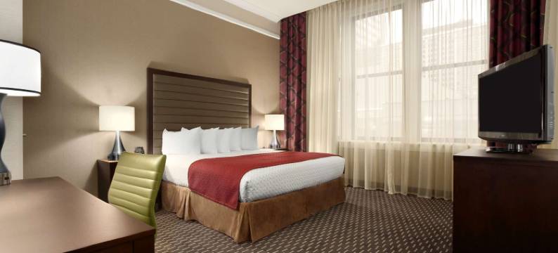 圣路易斯市中心希尔顿安泊酒店(Embassy Suites by Hilton St. Louis Downtown)图片