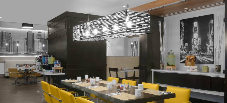 纽约/时代广场希尔顿花园酒店(Hilton Garden Inn New York - Times Square Central)图片