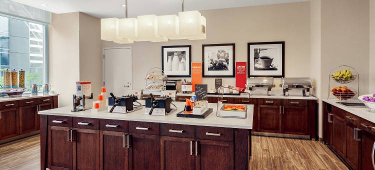 希尔顿欢朋酒店芝加哥麦考密克会展中心(Hampton Inn Chicago McCormick Place)图片