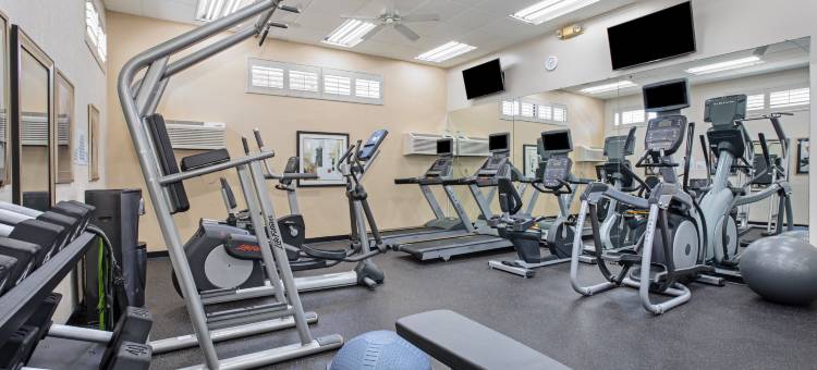 洛杉矶 - 洛杉矶国际机场假日酒店(Holiday Inn Los Angeles - LAX Airport)图片