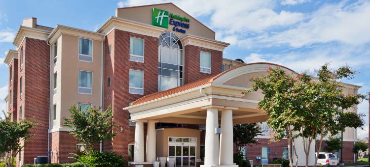 智选假日套房酒店巴吞鲁日东(Holiday Inn Express & Suites Baton Rouge East)图片