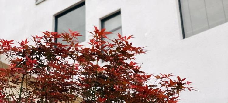 漫笙舍公寓(旧寨大道分店)图片