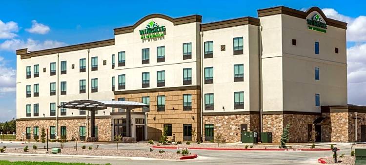 Wingate by Wyndham Lubbock Near Texas Tech Univ. Medical Ctr图片