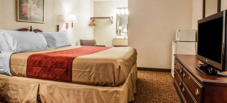 道格拉斯维尔-波茨敦伊克诺旅馆(Econo Lodge Douglassville-Pottstown)图片