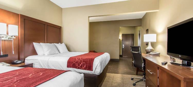 埃芬汉舒适套房酒店(Comfort Suites Effingham)图片