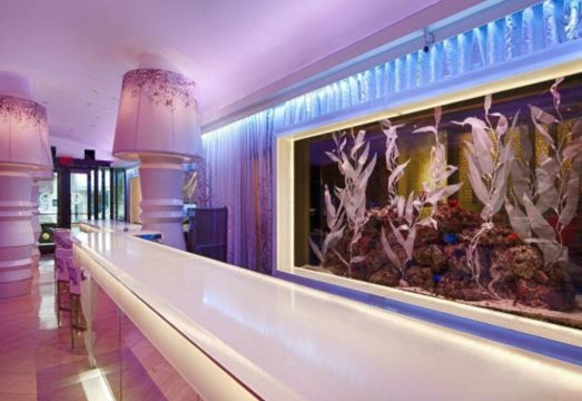 The Gallivant Times Square Hotel Overview