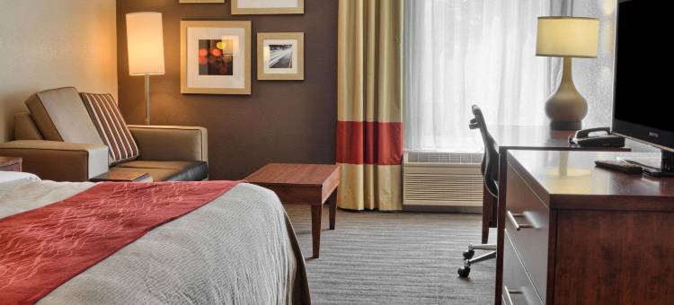 路斯格兰帝王之城附近舒适酒店(Comfort Inn Ruther Glen Near Kings Dominion)图片