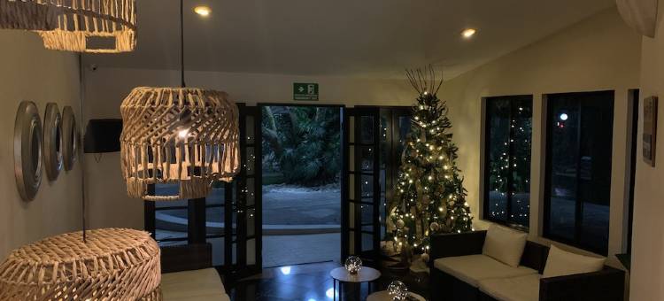 芒果酒店(Hotel Mango Airport)图片