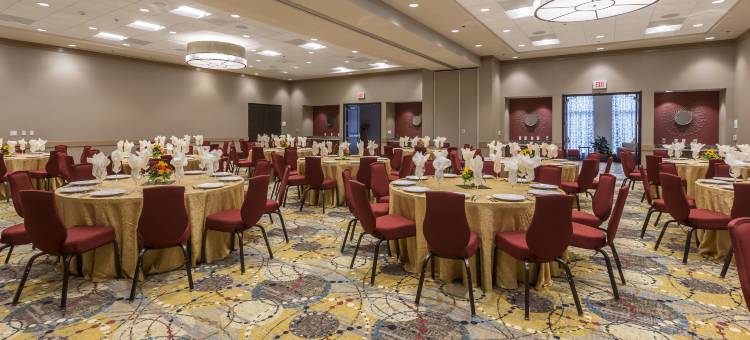 Crowne Plaza 雪兰(Crowne Plaza SHENANDOAH - WOODLANDS AREA by IHG)图片