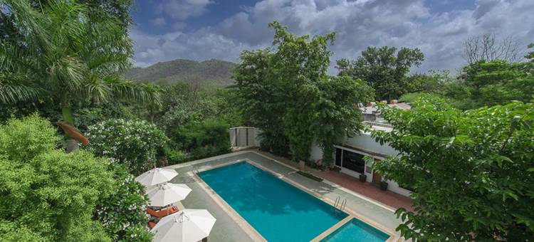 吉尔塞莱 - IHCL 精选(Gir Serai - Ihcl SeleQtions)图片