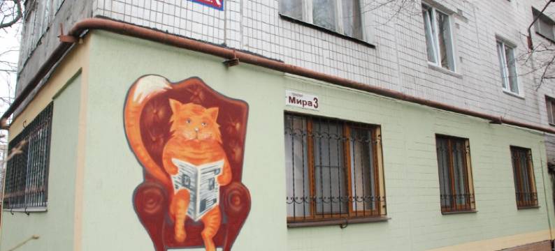 红猫旅舍(The Red Cat Hostel)图片