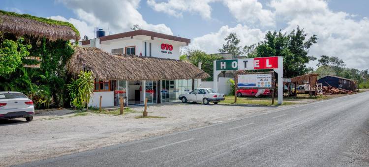 OYO 帕尔马皇家酒店(OYO Hotel Palma Real)图片