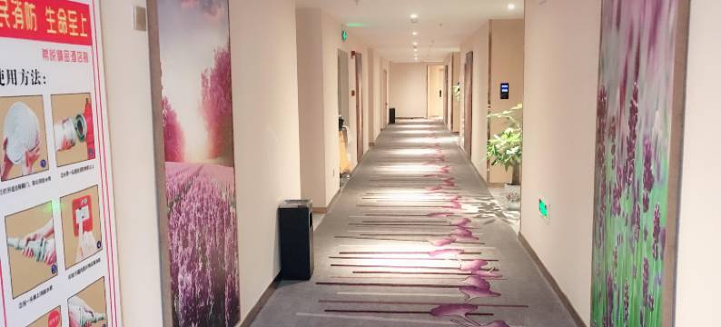 沭阳希悦酒店(迎宾大道店)图片