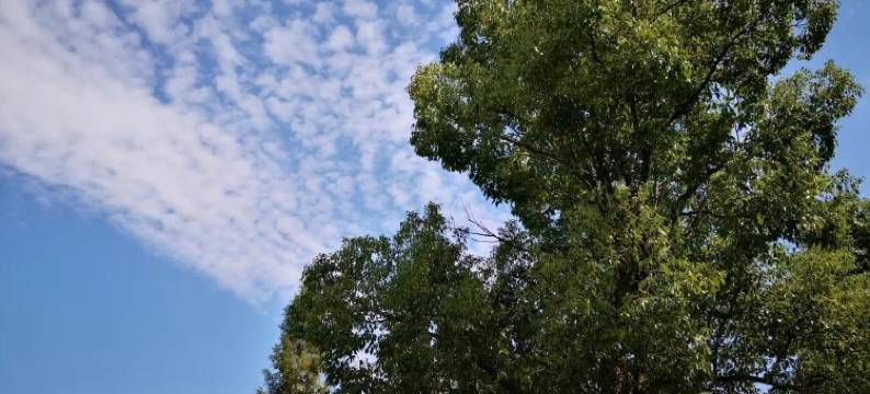 九龙湖栋兴生态农庄图片