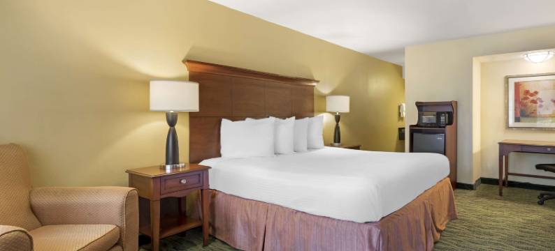 贝斯特韦斯特麦卡伦医疗中心(Best Western McAllen Medical Center)图片