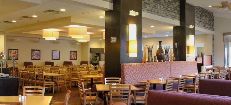 罗森国际酒店(Rosen Inn International Near the Parks)图片
